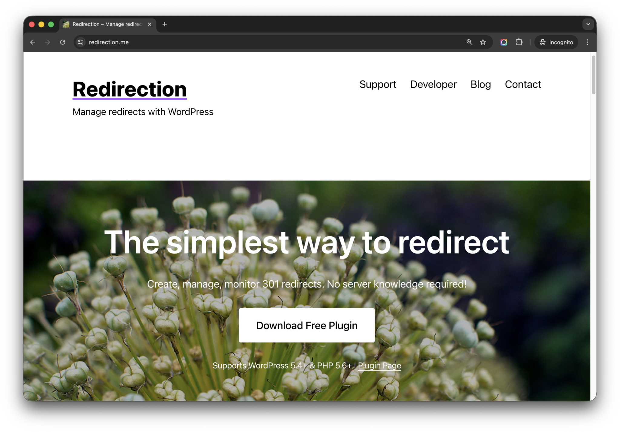 Redirection.me Homepage - WP Copilot