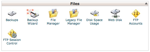 cPanel Files Section